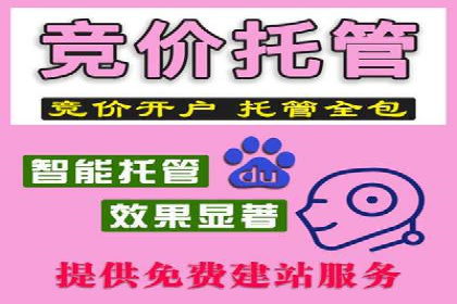 信息流广告投放策略：实战案例与数据解读